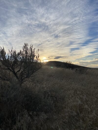 Unofficial Prosser Dog Park - Prosser, WA