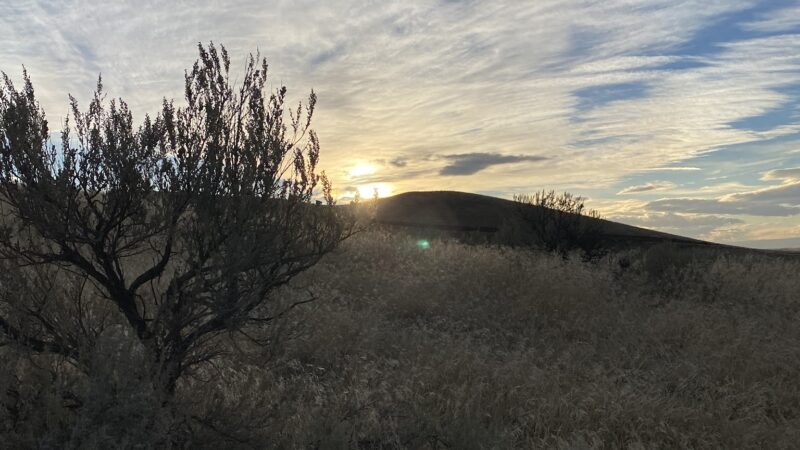 Unofficial Prosser Dog Park - Prosser, WA