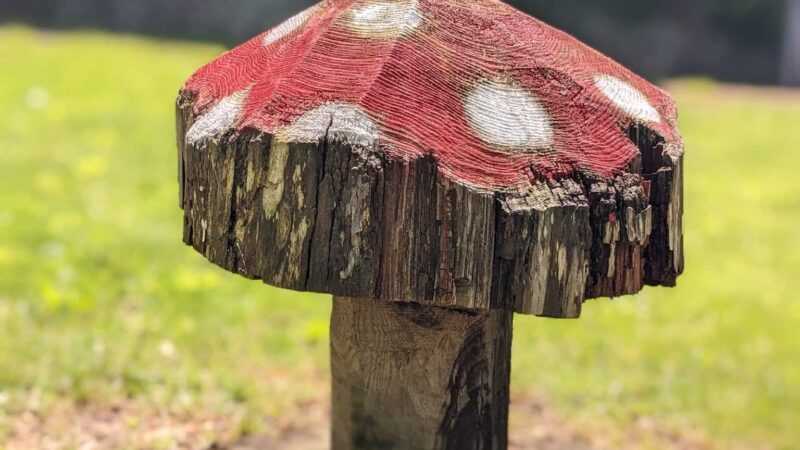 Blackstone Boulevard Park - Providence, RI