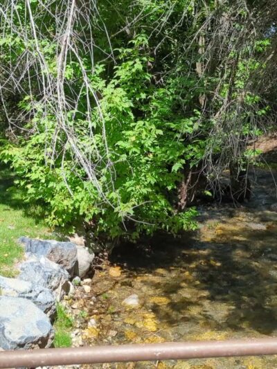 Von Baer Park - Providence, UT
