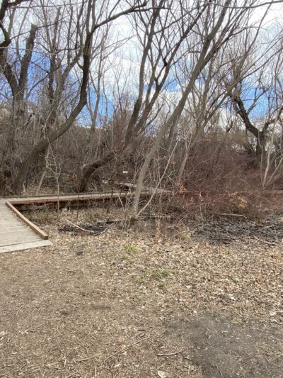 Bicentennial Boardwalk - Provo, UT