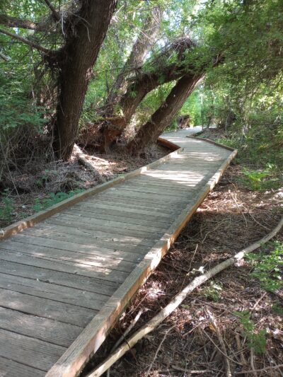 Bicentennial Boardwalk - Provo, UT