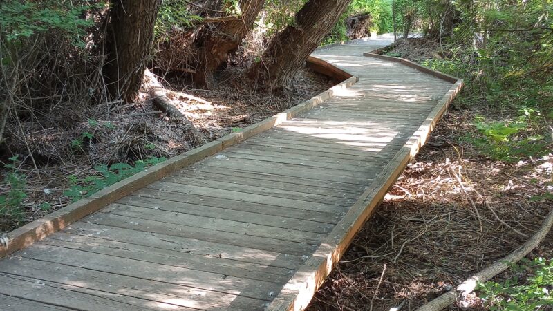 Bicentennial Boardwalk - Provo, UT