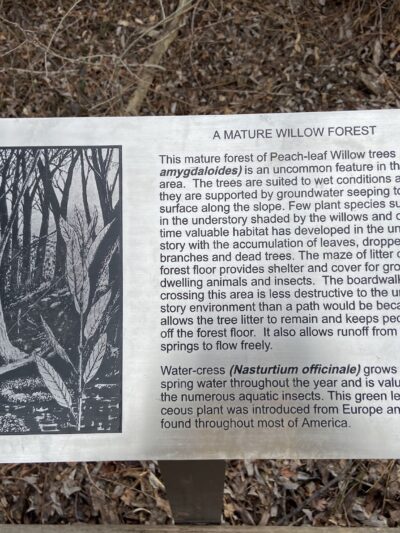 Bicentennial Boardwalk - Provo, UT