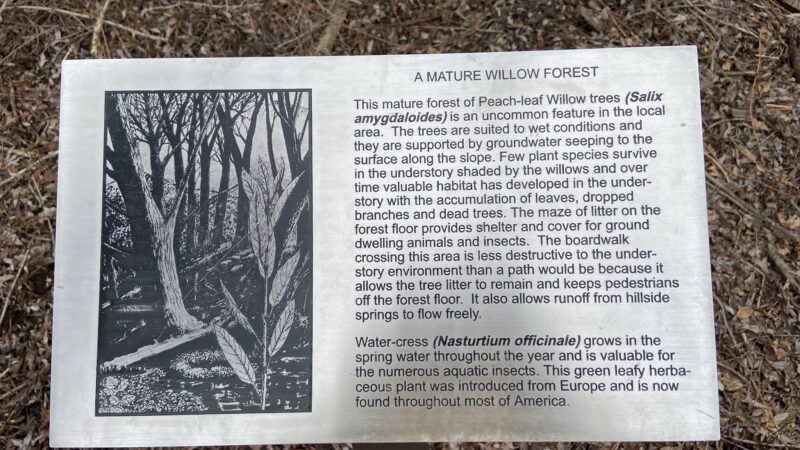 Bicentennial Boardwalk - Provo, UT