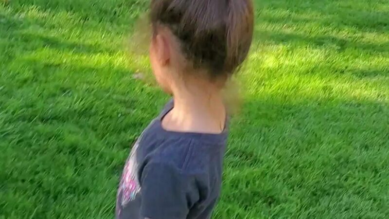 Bicentennial Park - Provo, UT