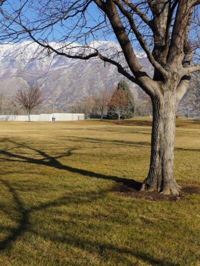 Carterville Park - Provo, UT