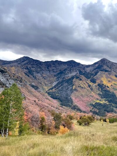 Dog Meadow - Provo, UT