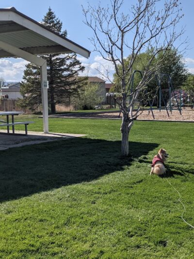 Harbor Park - Provo, UT