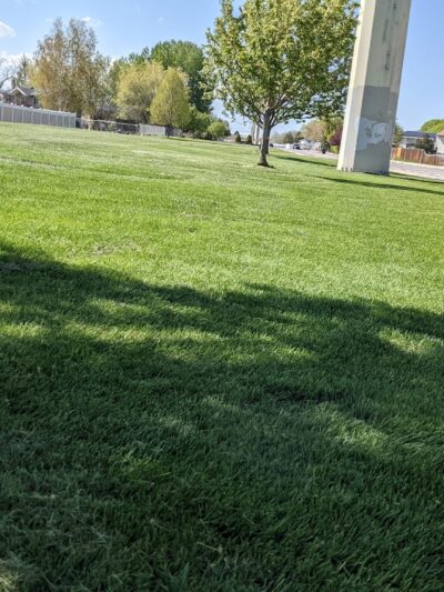 Harbor Park - Provo, UT