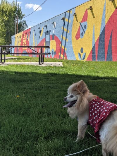 Maeser Park - Provo, UT