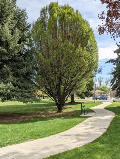 Memorial Park - Provo, UT