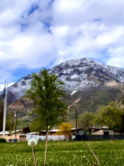 Memorial Park - Provo, UT