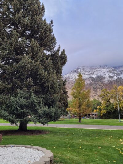 Memorial Park - Provo, UT