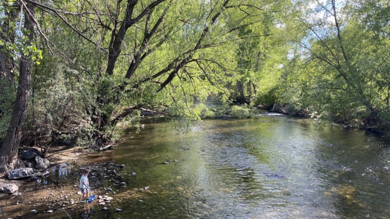 Paul Ream Wilderness Park - Provo, UT