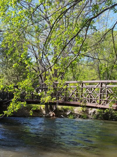 Paul Ream Wilderness Park - Provo, UT