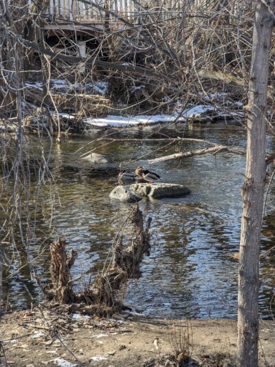 Provo River Park - Provo, UT