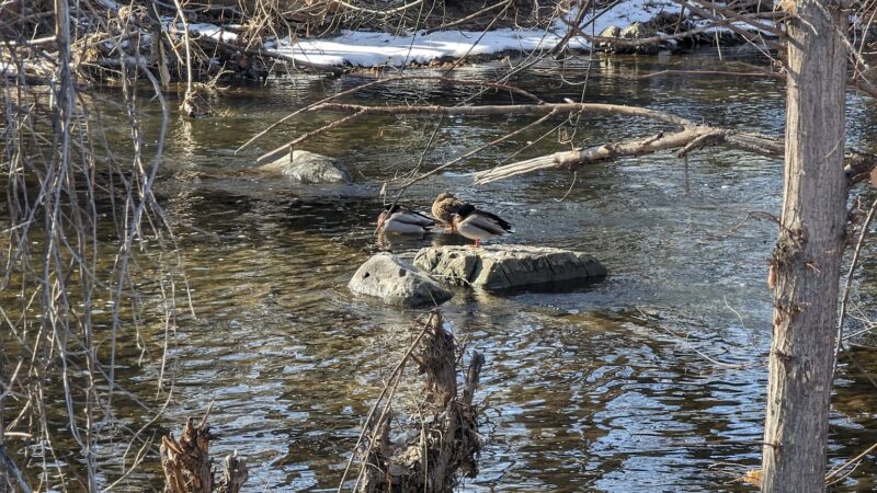 Provo River Park - Provo, UT