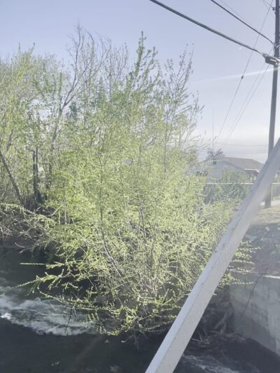 Provo River Parkway - Provo, UT