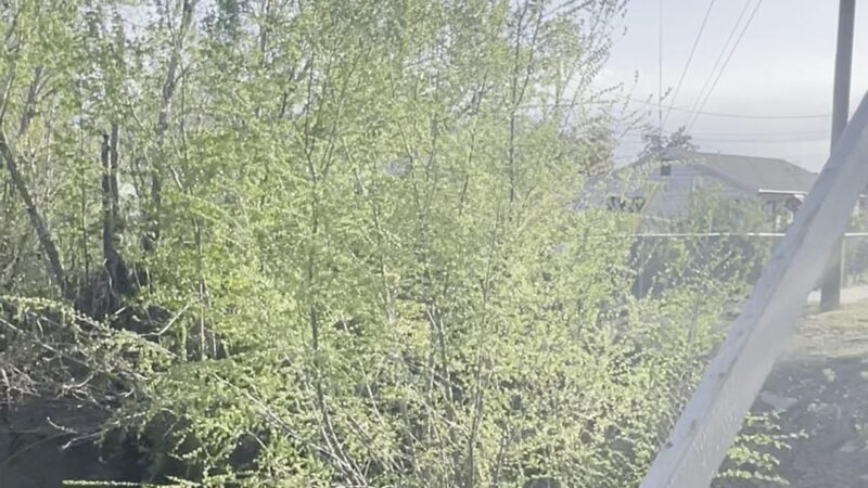 Provo River Parkway - Provo, UT