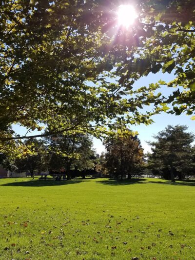 Provost Park - Provo, UT