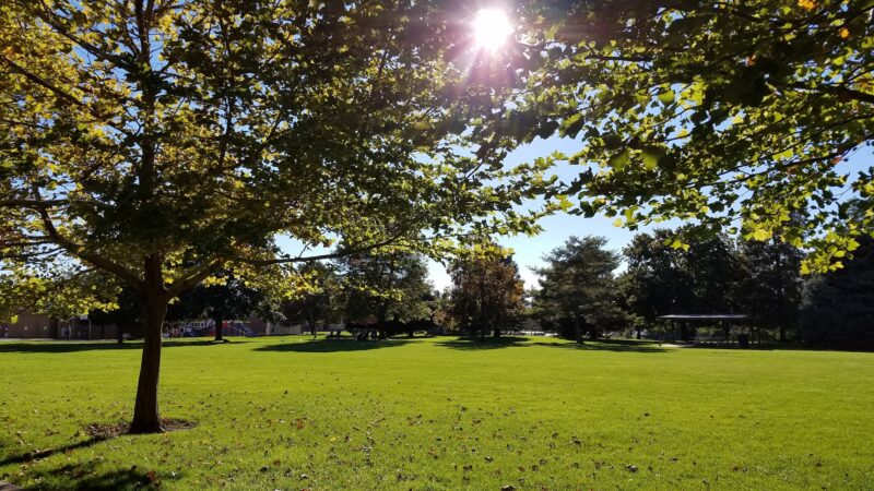 Provost Park - Provo, UT