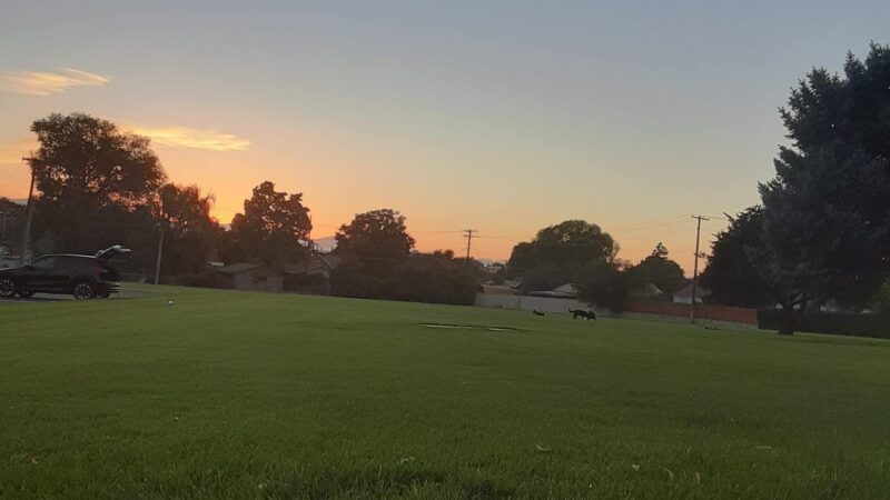 Provost Park - Provo, UT