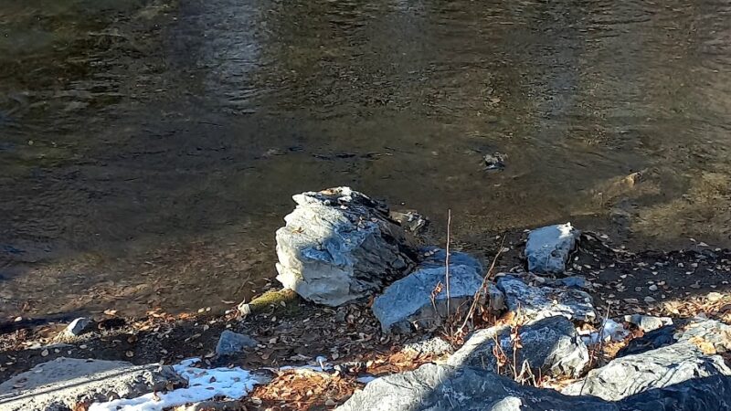 Riverside Park - Provo, UT