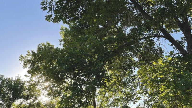 Riverview Park - Provo, UT