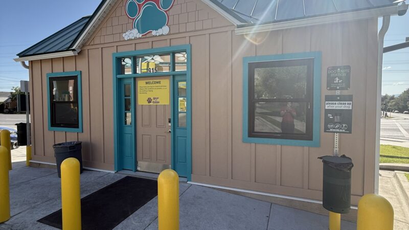 Spot and Clean Self-Serve Dog Wash - Provo, UT