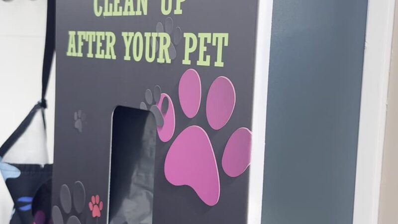 Spot and Clean Self-Serve Dog Wash - Provo, UT