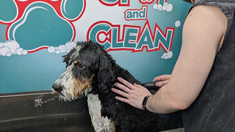 Spot and Clean Self-Serve Dog Wash - Provo, UT