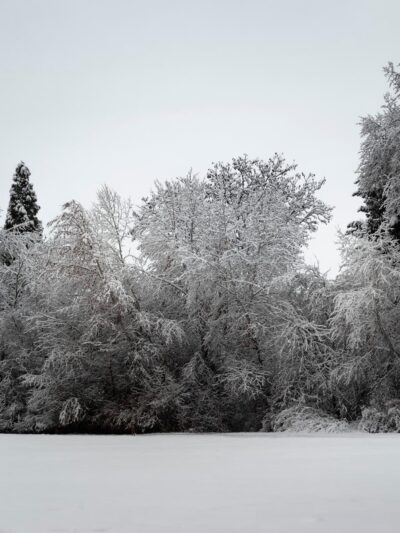 Stutz Park - Provo, UT