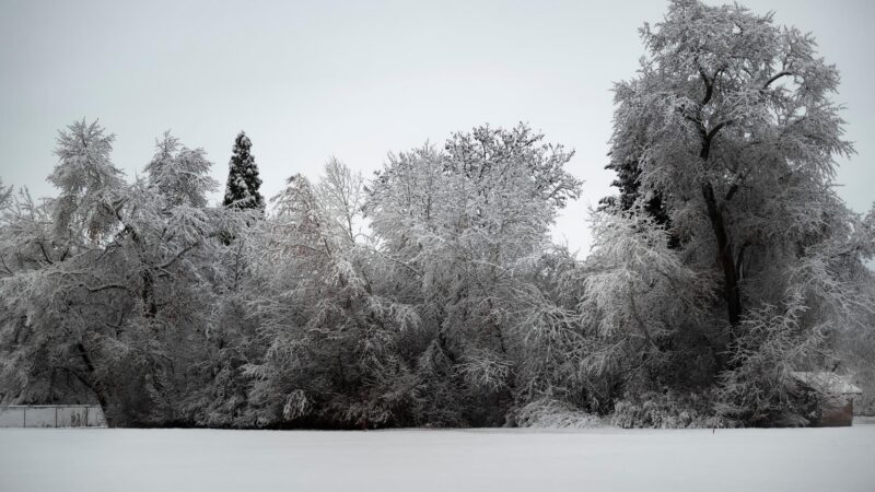 Stutz Park - Provo, UT