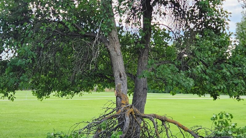 Stutz Park - Provo, UT