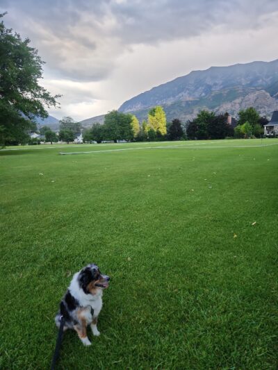 Stutz Park - Provo, UT