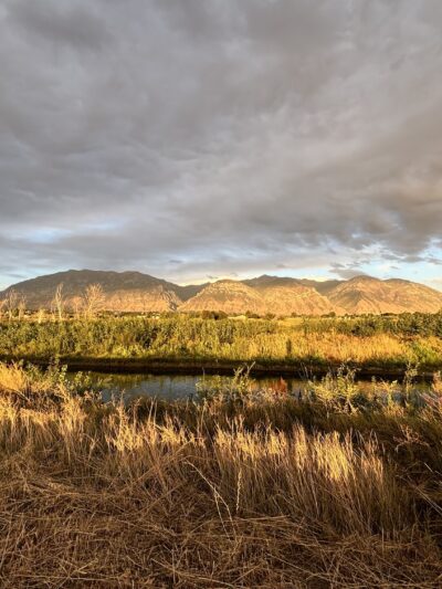 Utah Lake Shore Line Trailhead - Provo, UT