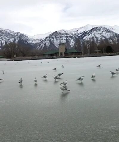 Utah Lake State Park - Provo, UT