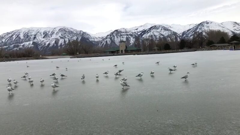 Utah Lake State Park - Provo, UT