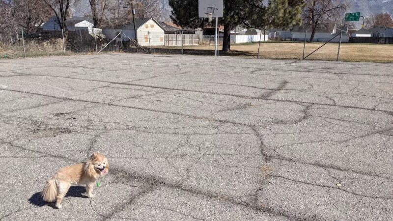 West Park - Provo, UT