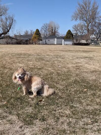 West Park - Provo, UT