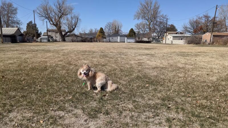 West Park - Provo, UT