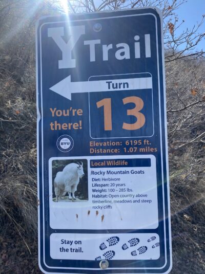 Y Trailhead - Provo, UT
