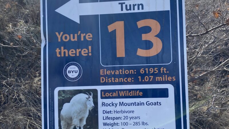 Y Trailhead - Provo, UT