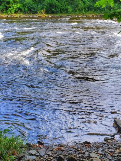 Dunbar Park - Pulaski, NY