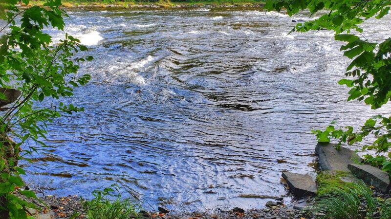 Dunbar Park - Pulaski, NY