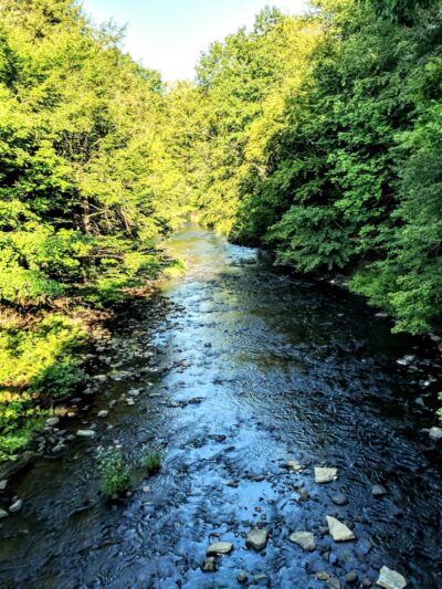 Lower Grindstone Access - Pulaski, NY