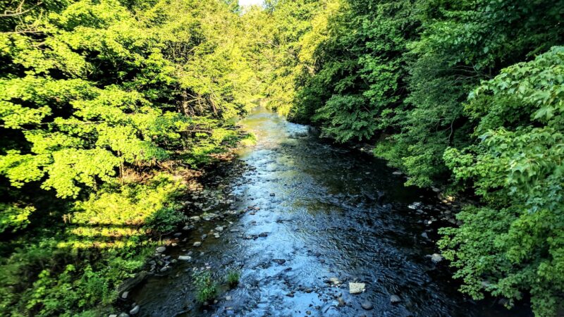 Lower Grindstone Access - Pulaski, NY