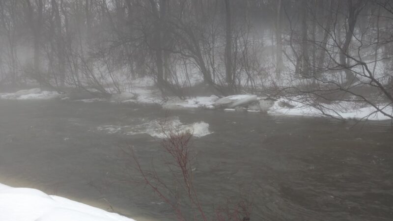 Lower Grindstone Access - Pulaski, NY