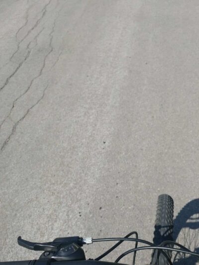 Sandy Creek State Forest - Pulaski, NY